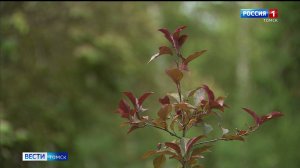 Вести-Томск, выпуск от 04.09.2025 11:30