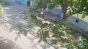 В Первомайском районе Ростова полиция задержала подозреваемого в грабеже