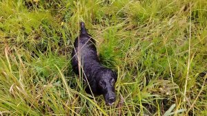 Сокол_01_09_2025