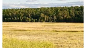 Фото от Владимира Маркова