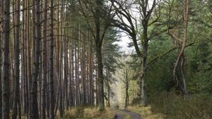 Обсуждение_темы__Покрытый_грех_