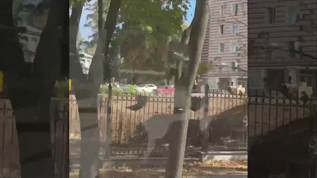 В больнице Калинина продолжаются работы по строительству микробиологической лаборатории