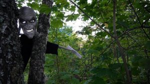 ЫРКА В РЕАЛЬНОЙ ЖИЗНИ | ЗАСТРЯЛИ В ЛЕСУ С КОТОМ И СОБАКОЙ