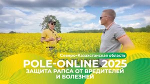 Комплексная защита рапса в Северо-Казахстанской области | Pole-Online 2025 #рапс #агро #казахстан