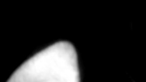 🐺🐺🐺 Щенки фото ловушка