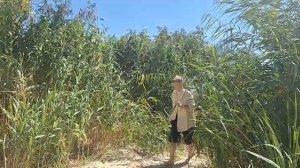 "Донские казаки на службе Отечеству". 29.08.2025