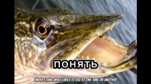 Как поймать щуку !Поймал свою первую щуку