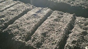 Успеть до зимы.