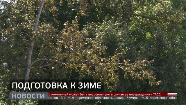 Подготовка к зиме. Новости. 04/09/2025. GuberniaTV