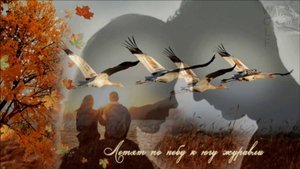 ЖУРАВУШЕК,  муз. и исп. Н.Ильин, сл. П.Лахин, клип А. Цаплин.