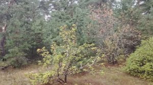 Идеальная работа! Или заблуждение?