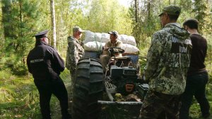 Внимание к любителям шишек - Природнадзор Югры усиливает патрулирование лесов
