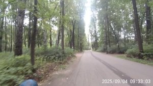 Нерегулярная половая жизнь - последствия и профилактика