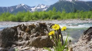 Хамар-Дабан, река Снежная и жемчужина этих мест — Соболиное озеро. Моменты лета