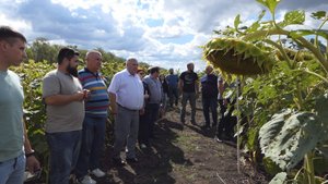 Полевой семинар в Домашке