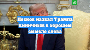 Песков назвал Трампа циничным в хорошем смысле слова