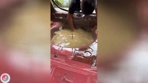 Best video of Tik Tok! 05.09.25 / 03