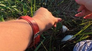 Рыбалка в России на рисовых чеках.