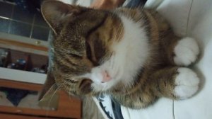 Минутка нежности.mp4