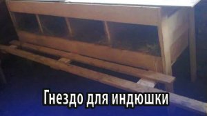 Гнездо для индюшки своими руками, правильные размеры
