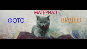 Masyu C днём варенья!!!