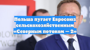 Польша пугает Евросоюз сельскохозяйственным «Северным потоком — 2»