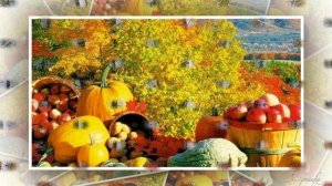 ОСЕННИЕ ЗАРИСОВКИ