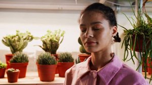 9157971-uhd_4096_2160_25fps