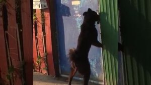 СМЕШНЫЕ ВИДЕО СМОТРЕТЬ ОНЛАЙН / ПРИКОЛЬНЫЕ ВИДЕО ОНЛАЙН БЕЗ РЕГИСТРАЦИИ / СМОТРЕТЬ ОНЛАЙН