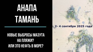 Анапа и Тамань, 2 - 4 сентября 2025 года, новые выбросы мазута на пляжи, нефть в море