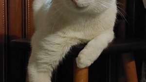 крутая физзарядка