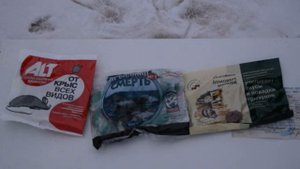 Крысы. Мыши. Уничтожение. Яд или ультразвук?