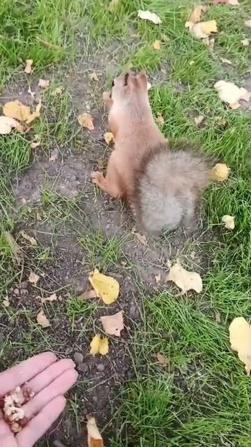1000001253.mp4