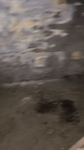 подвал.mp4