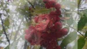 Дамы бальзаковского возраста