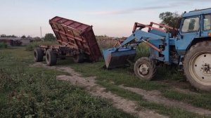 Телега сказала: хватит! Уборка в погребе.