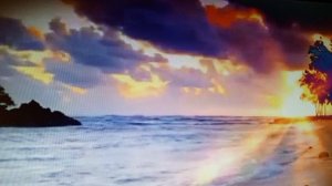 Ты с запахом сиреневая ветка. читает автор Богдан Бандура.