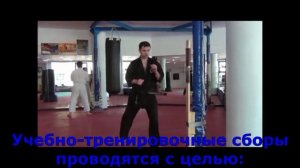 Каратэ годзю рю