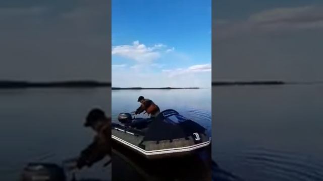 Штормлайн камуфляж нднд 380 смотреть онлайн