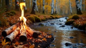 Мирный осенний костер у тихого ручья