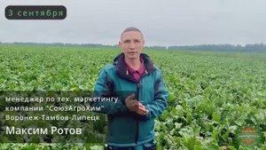 Эффективность комплексной защиты сахарной свеклы "Союзагрохим" в Тамбовской области