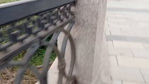 1000004856.mp4 Документальный фильм с юмором о прогулке на Михайловскую Набережную , Новосибирск