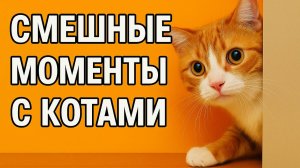Смех до слёз: лучшие приколы №187