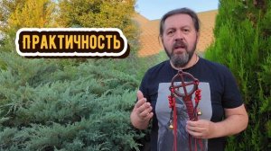 Руническая погремушка - несколько слов о книге