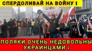 НАКИПЕЛО ❗️ПОЛЯК ПРО УКРАИНЦЕВ ❗️
