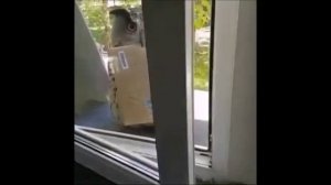 ВИДЕО ПРИКОЛЫ ОНЛАЙН СМОТРЕТЬ / ОНЛАЙН ПРИКОЛЫ / СМЕШНЫЕ ПРИКОЛЫ / РЖАЧНОЕ ВИДЕО ПРИКОЛ