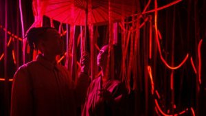 7956614-uhd_3840_2160_24fps