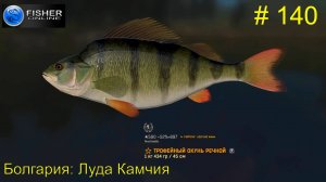 #140 Болгария:Луда Камчия. ч.5 Путь к серебру: ямы, полные крупного окуня. Прохождение Fisher Online