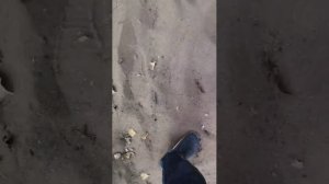 сегодня поедем домой после рыбалки.