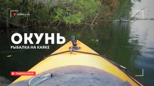 Ловля на поверхностную приманку